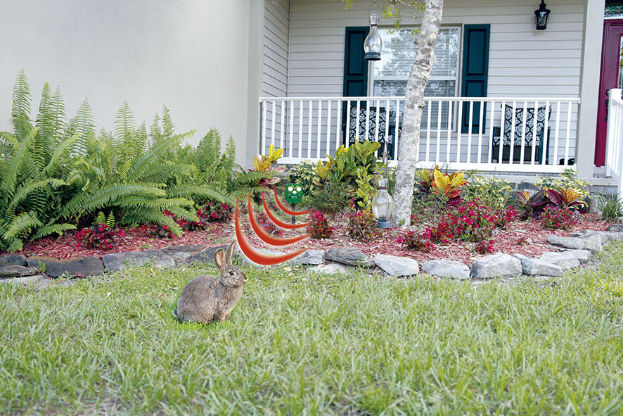 Owl Guard