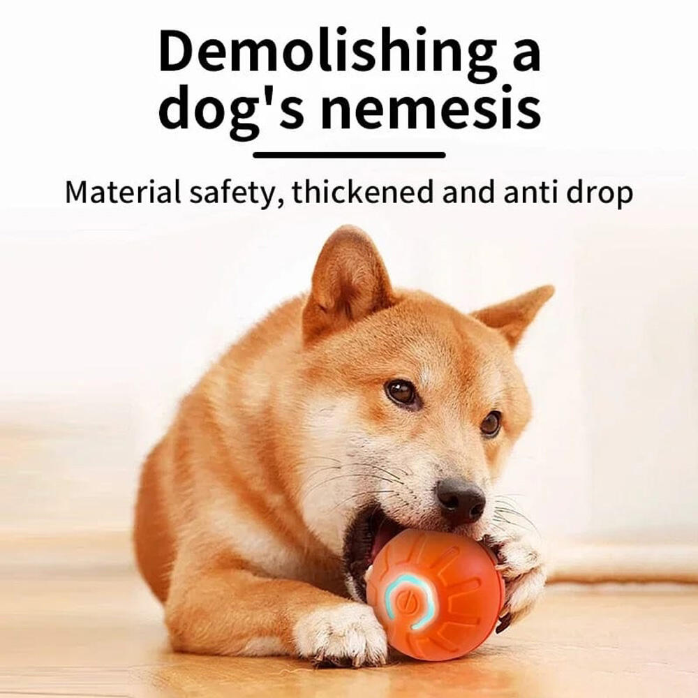 Pelota interactiva para perros y gatos