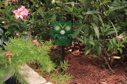 Owl Guard