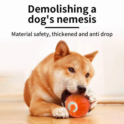 Pelota interactiva para perros y gatos
