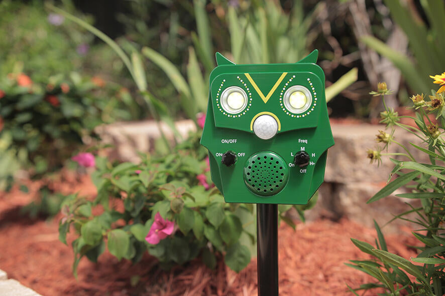 Owl Guard