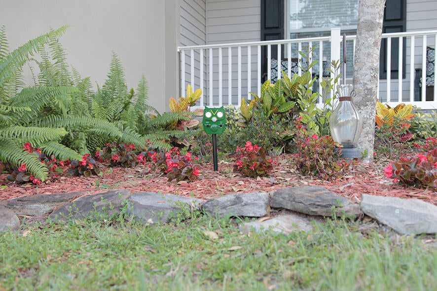 Owl Guard