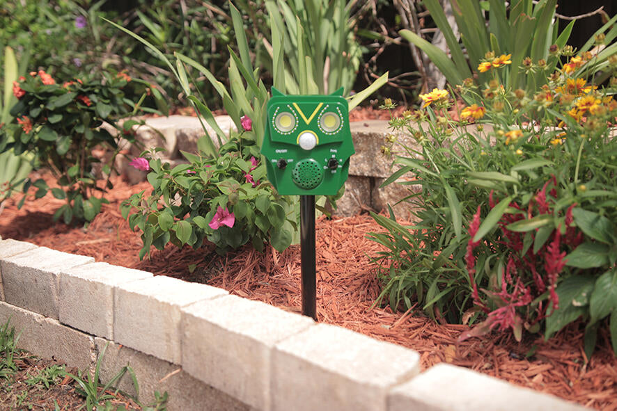 Owl Guard